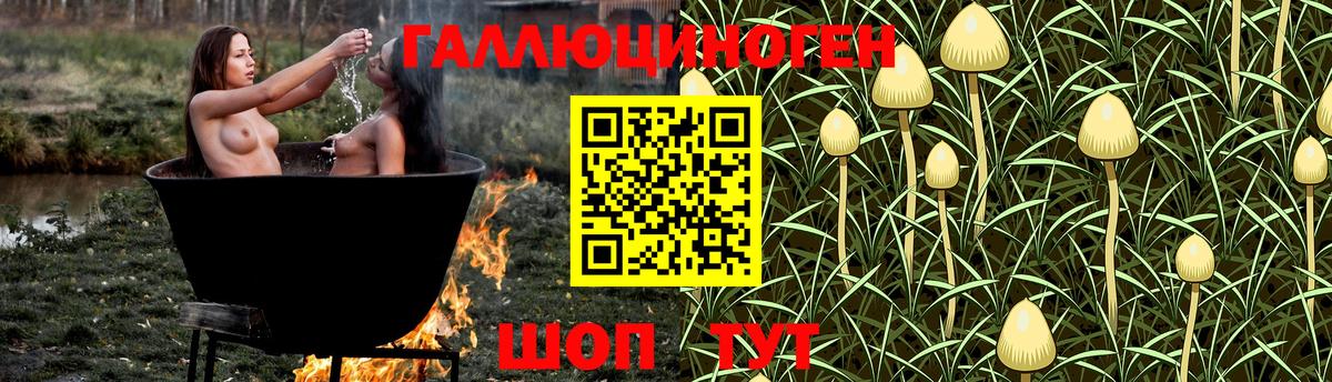 Галлюциногенные грибы MAGIC MUSHROOMS  Галлюциногенные грибы GOLDEN TEACHER  Саранск  Вход с VPN 
